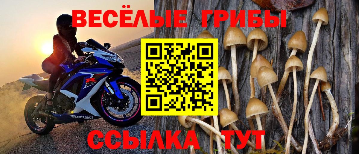 Псилоцибиновые грибы Cubensis  Вход с VPN  Славгород  Галлюциногенные грибы Cubensis 